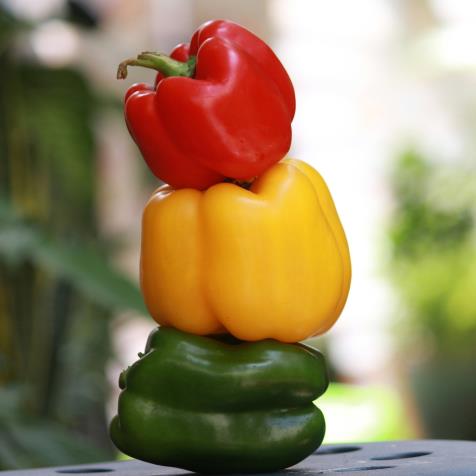 Colored Capsicum