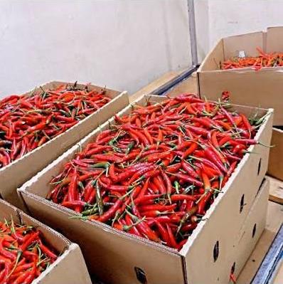 Bird’s Eye Chillies