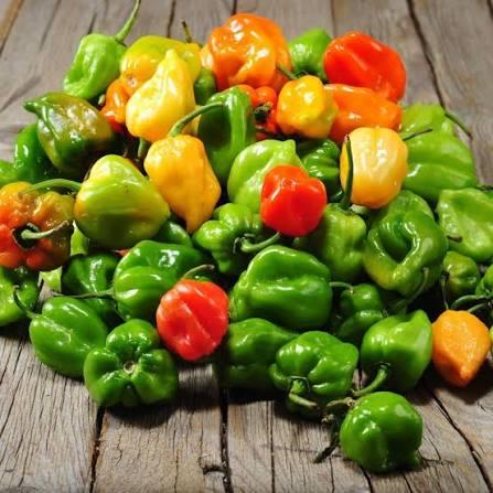 Habanero