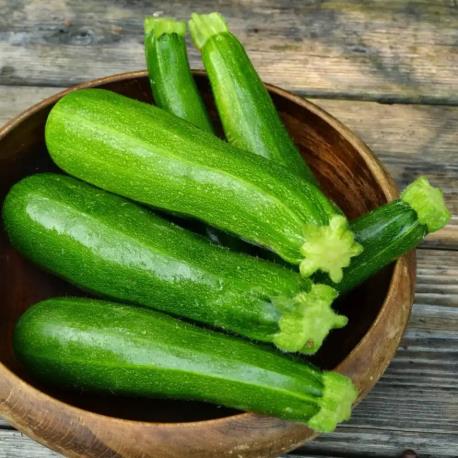Zucchini Courgette