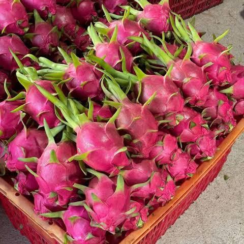 Dragon Fruits