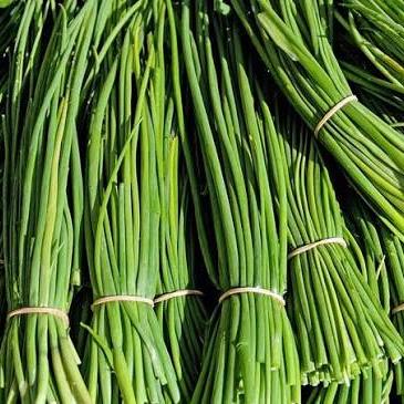 Chives